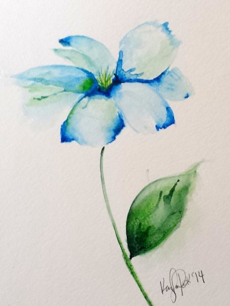 Цветы акварелью для начинающих