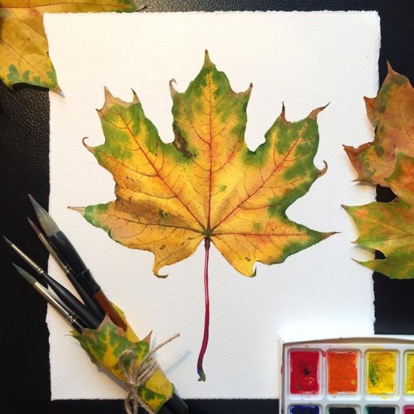 Кленовый лист красками