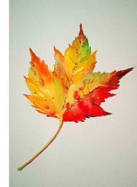 Кленовый лист красками