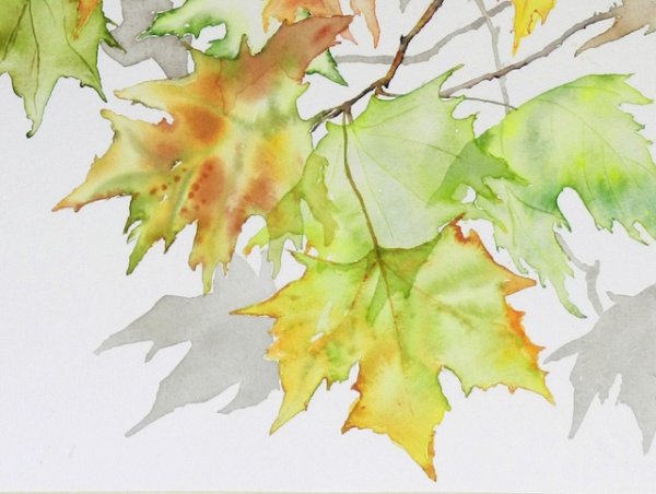 Кленовый лист цветными карандашами