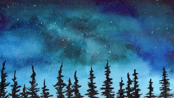 Акварель темные елки ночное небо