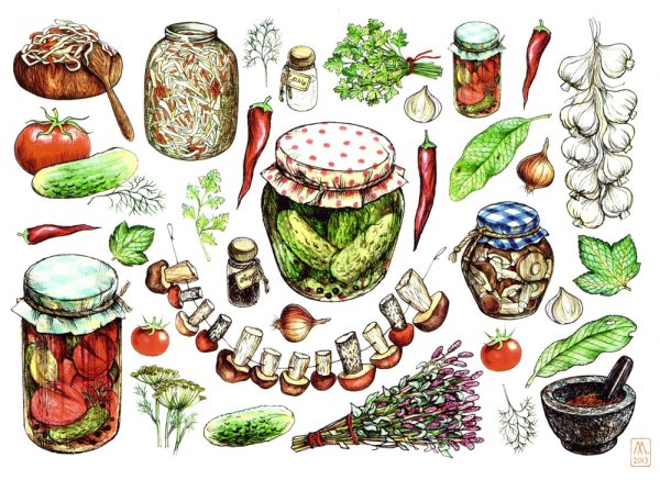 Консервация рисунок