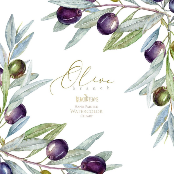 Оливки акварель