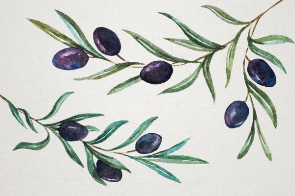 Оливки акварель