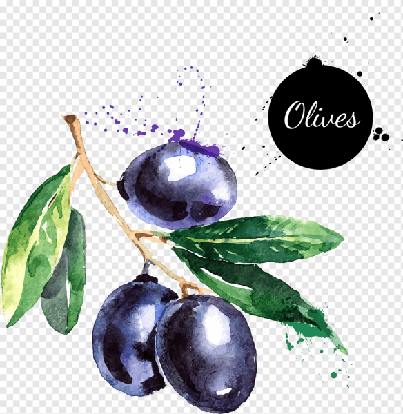 Акварель скетч оливки сыр