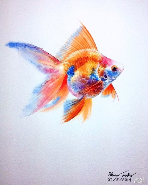 Акварели рыбки Kitipong_Maksin_