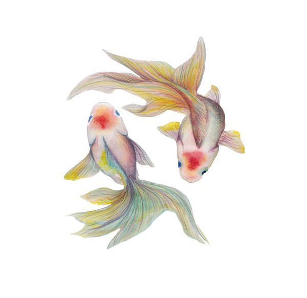 Рыбки акварельными карандашами