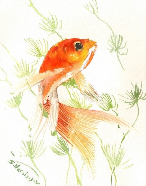 Золотая рыбка акварель