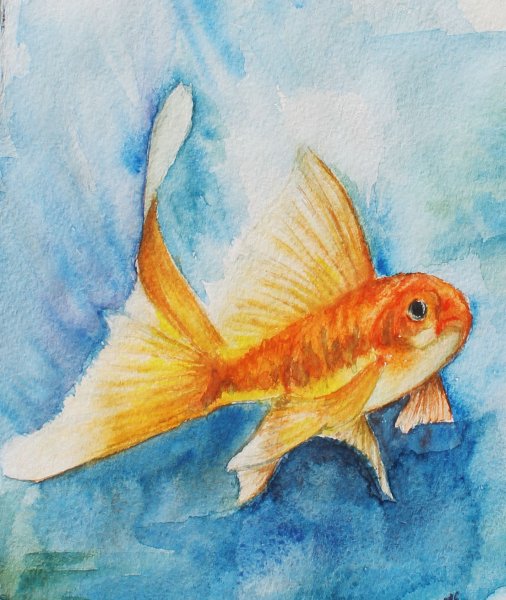 Рыбки акварелью