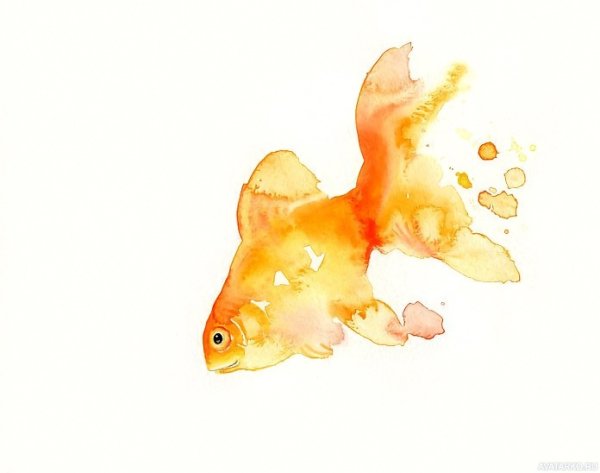 Золотые рыбки китайская живопись