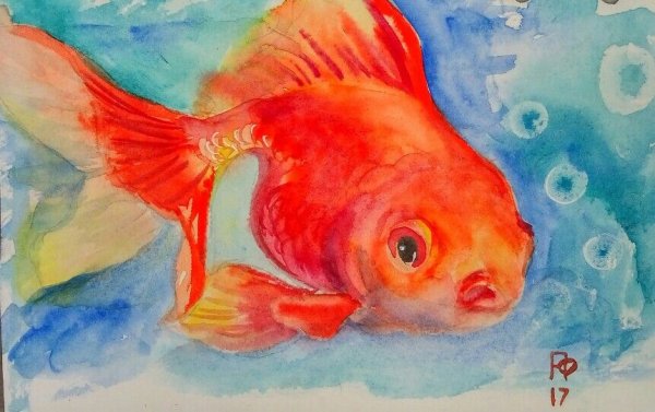 Золотая рыбка акварель
