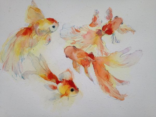 Рыбы акварелью