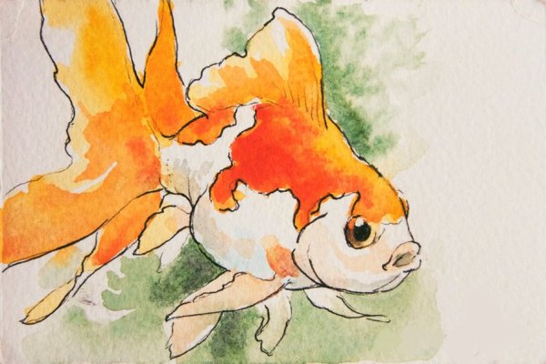 Рыбы акварелью