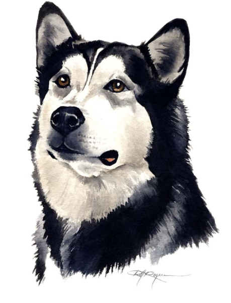 Хаски акварелью