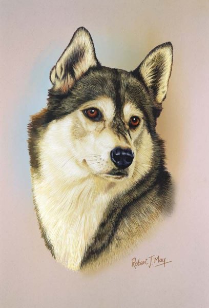 Хаски акварелью