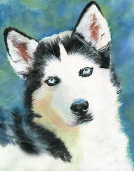 Хаски акварелью