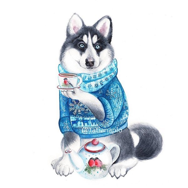 Хаски гуашью