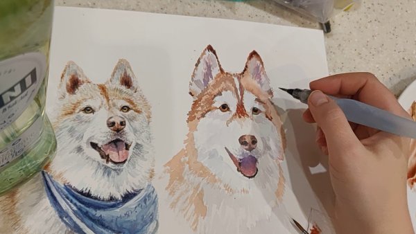 Хаски эскиз