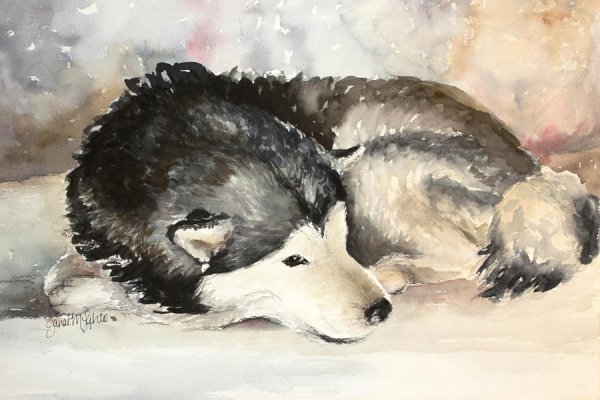 Хаски гуашью