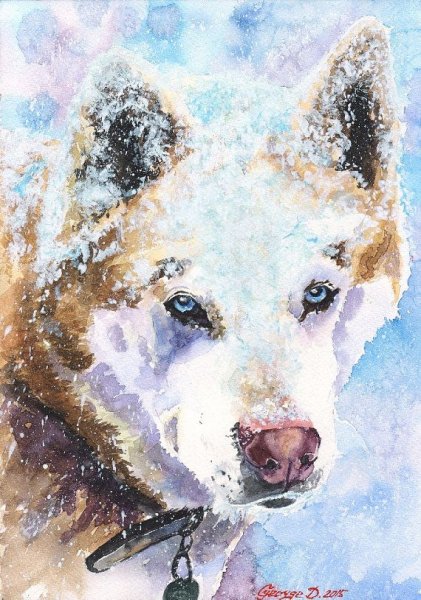 Животные акварелью