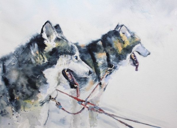 Лайка акварель