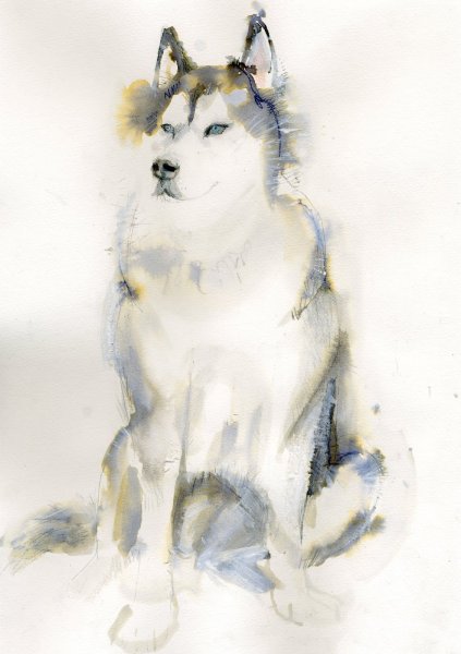 Волк акварелью для декупажа