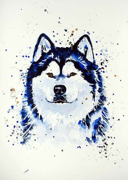 Собака акварелью