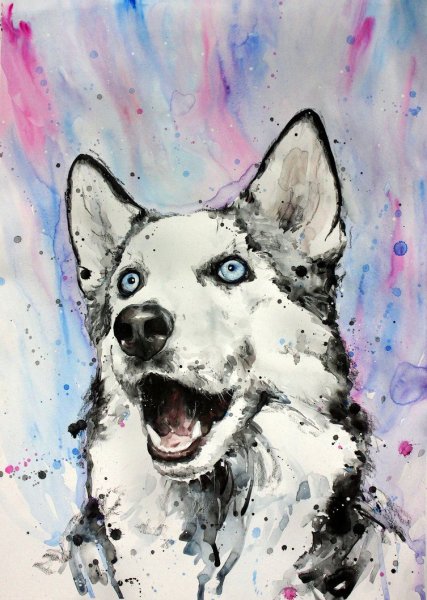 Хаски гуашью