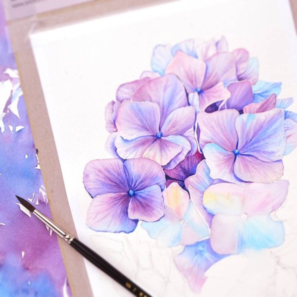 Голубая гортензия акварель вектор