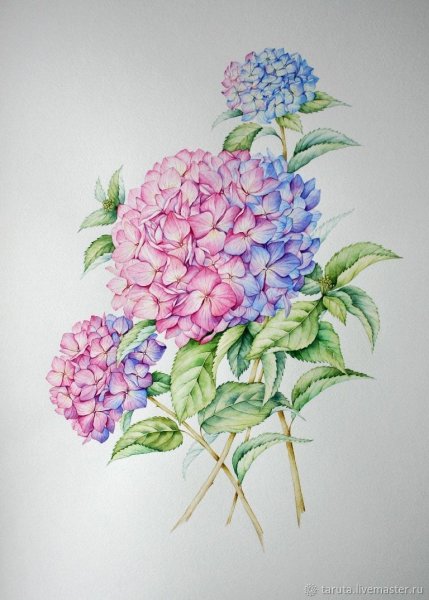 Vincent Jeannerot картины