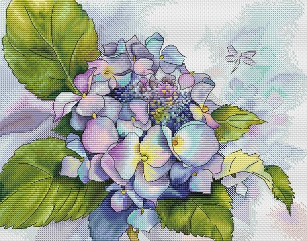 Гортензии Светлана Шенк живопись