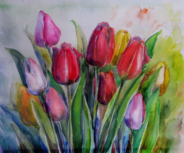 Тюльпаны акварелью