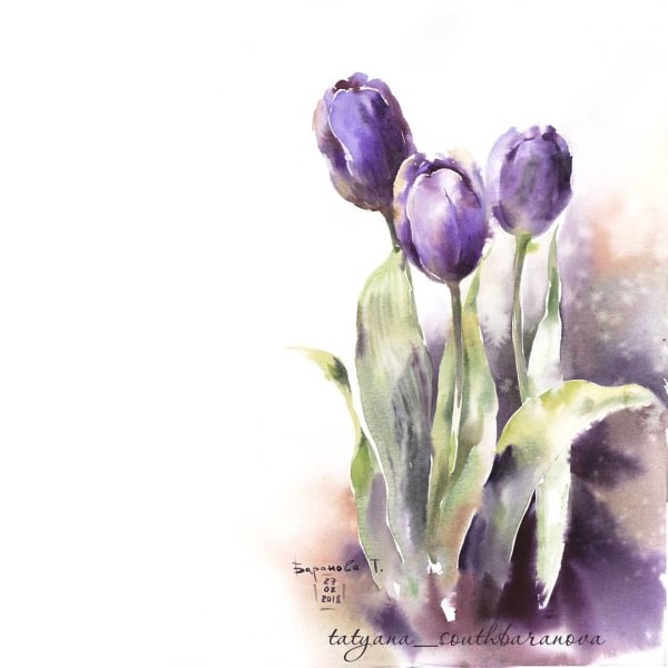 Анастасия Беседина тюльпаны акварелью