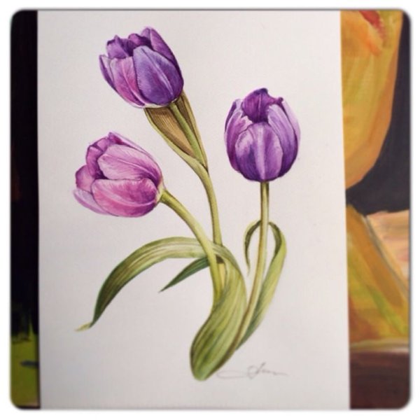 Тюльпаны акварельными красками