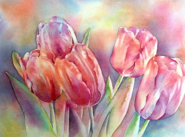 Тюльпаны акварель Диана Митчелл