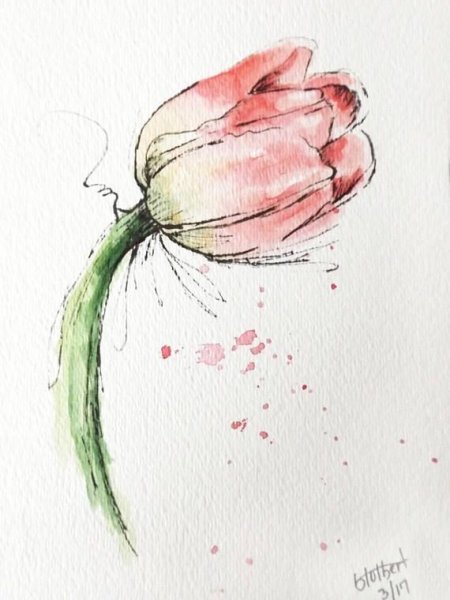 Тюльпаны акварелью скетч