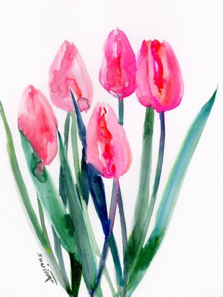 Тюльпаны акварелью