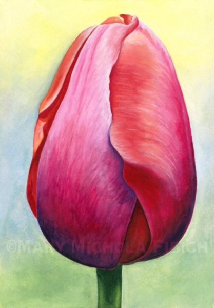 Тюльпаны акварелью