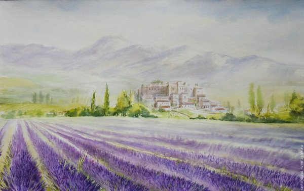 Лавандовое поле Ренуар