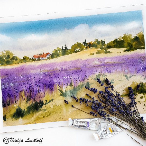 Прованс скетчинг поля лаванды