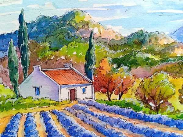 Картина Натальи Ширяевой Лавандовые поля