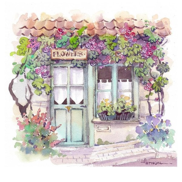 Иллюстрации Анны Петуновой