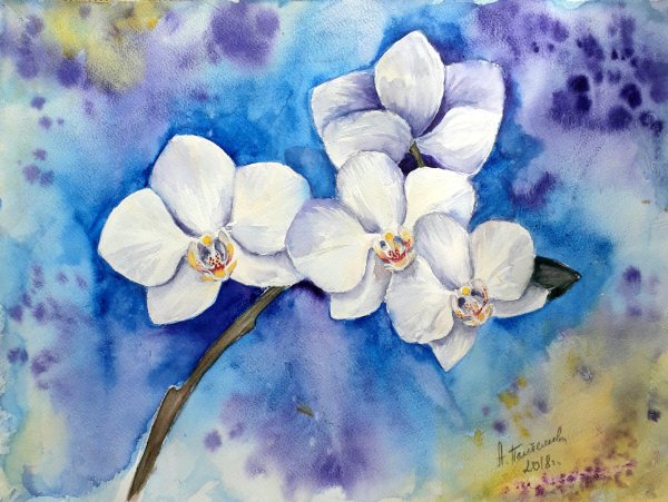 Орхидея рисунок