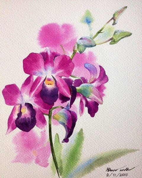 Орхидея Акварелька