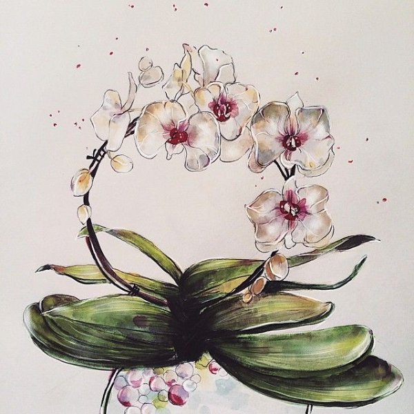 Орхидея Цимбидиум акварель