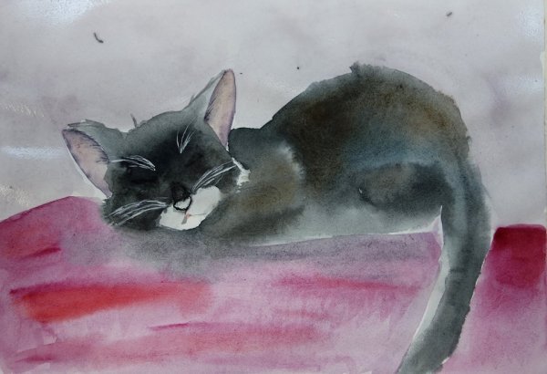 Кот акварелью для начинающих
