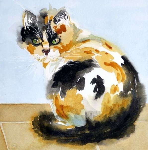 Кот гуашью