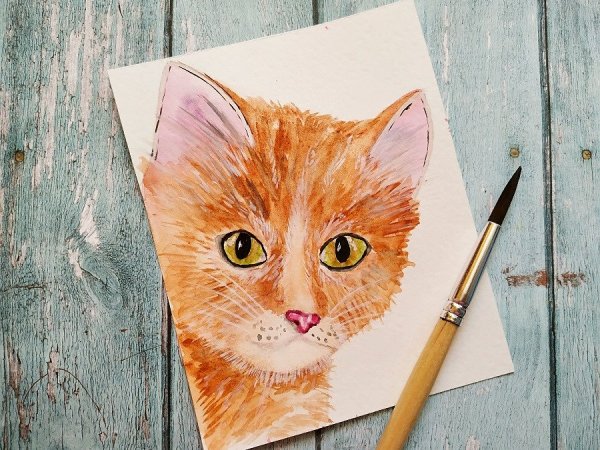 Кот акварельными карандашами