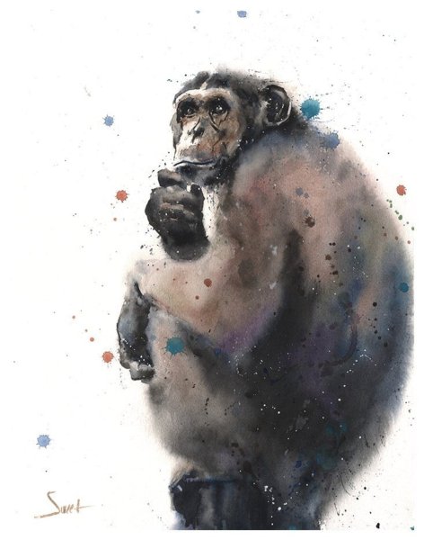 Акварельная обезьяна