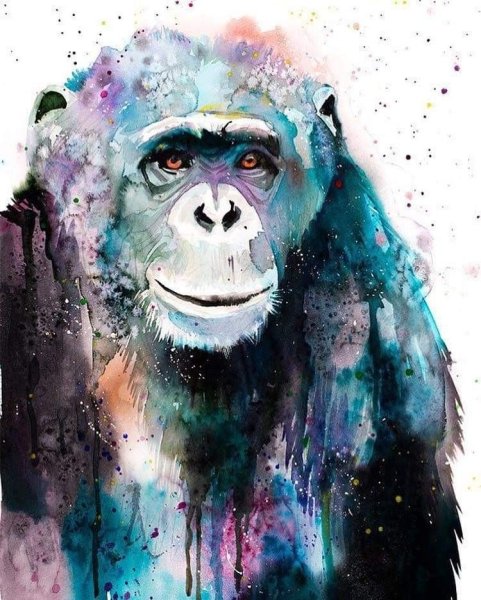 Картина обезьяны